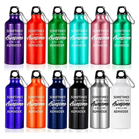 Hoolerry Aluminum Water Bottles with Carabiner