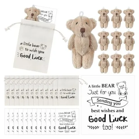 Hoolerry Good Luck Pocket Bear Gifts